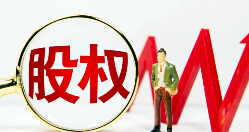 资产管理:工具选择与优化策略