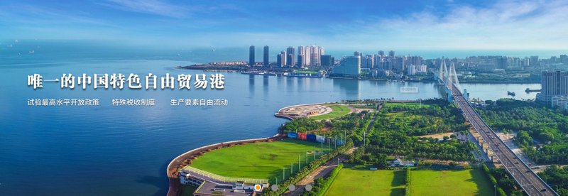 风险投资:如何识别和防范潜在风险